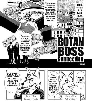 botan boss connection cover