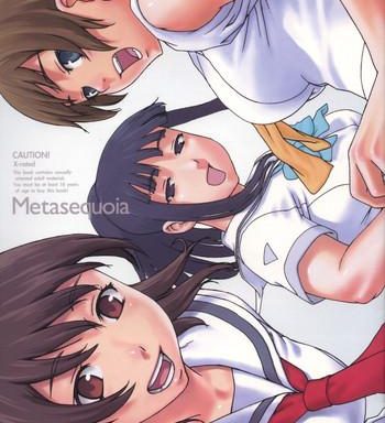 metasequoia cover