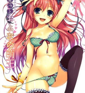 moeoh selection artbook motto otona no moeoh cover