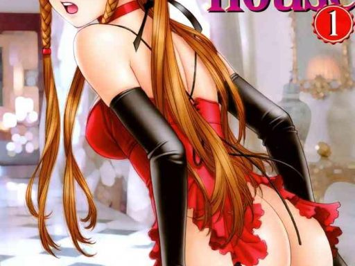 my doll house 1 1 cover