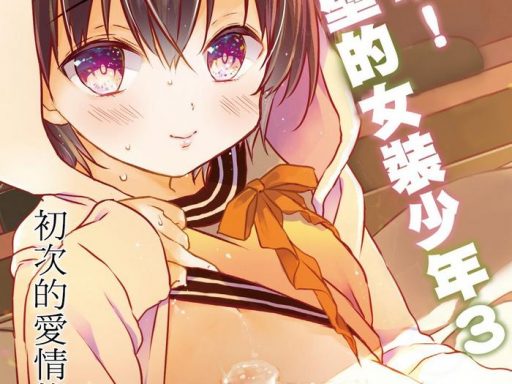 totsugeki rinka no josou shounen 3 hajimete no loveho hen cover