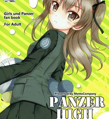 panzer high cover