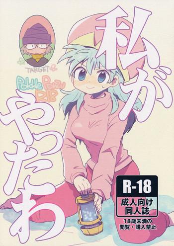 cover 17