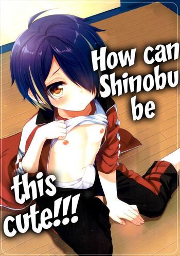 how can shinobu be this cute cover
