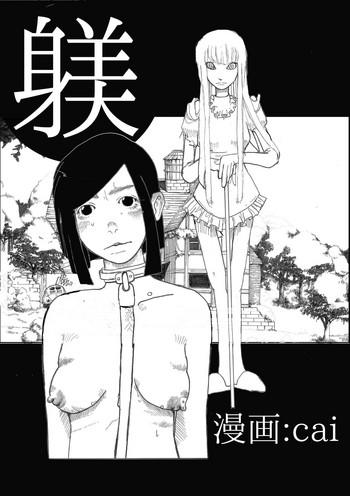 shitsuke cover