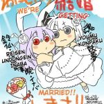 what the hell are you drawing youmu x reisen cover