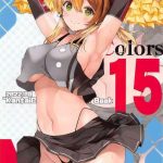n s a colors 15 cover
