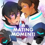 a mating moment cover