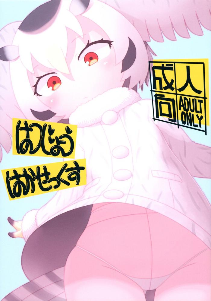 hatsujou hakasex cover