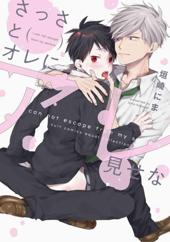 sassato ore ni are misena cover