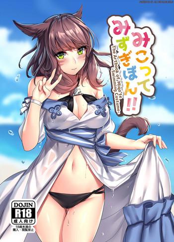 miqo x27 te mizugi bon the artbook of miqo x27 te cover