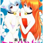 shinseiki enyangelion cover