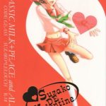 suzako de valentine cover